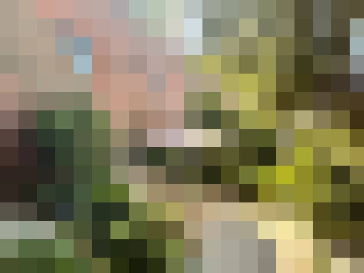  / #15