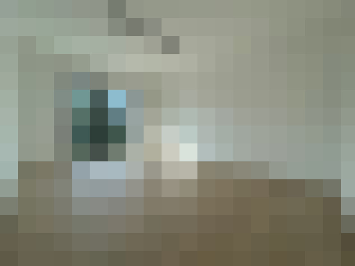  / #22