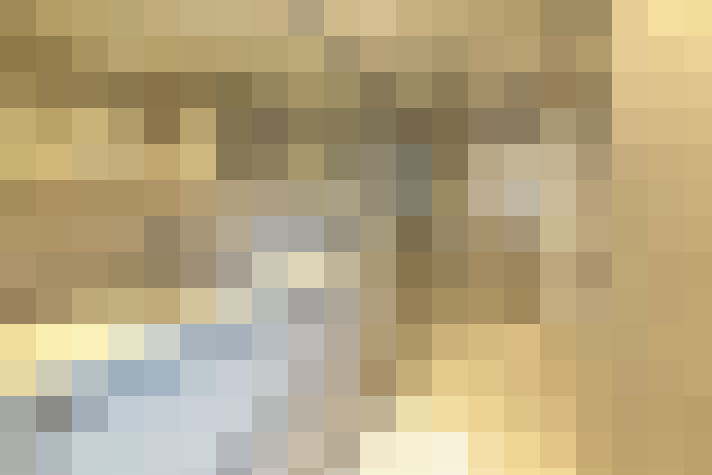  / #19