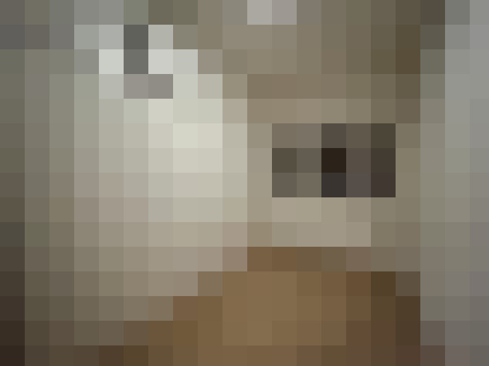  / #26
