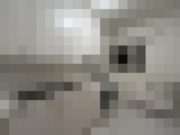  / #19