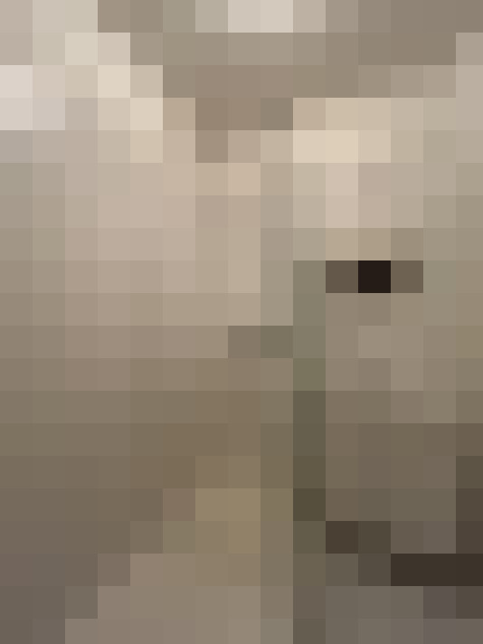  / #21