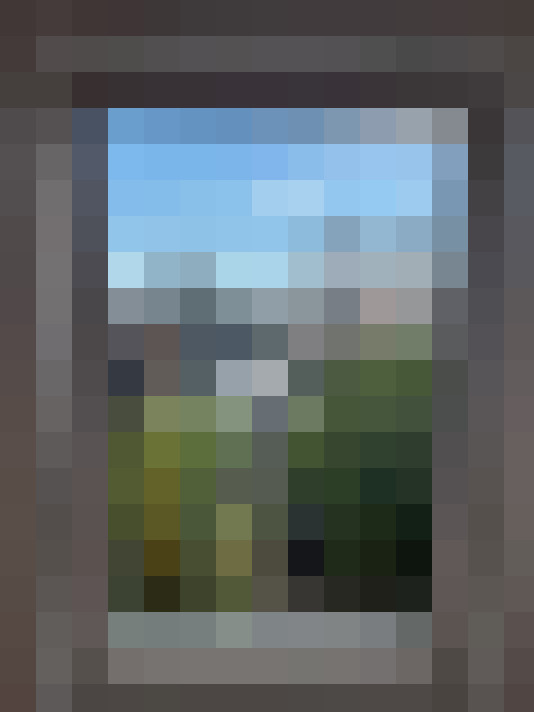  / #15