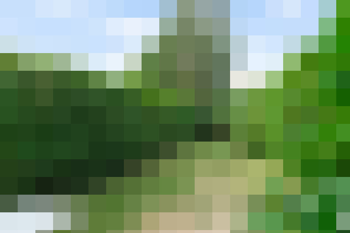  / #7