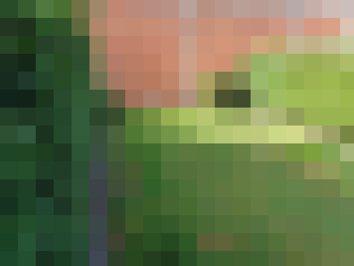  / #16