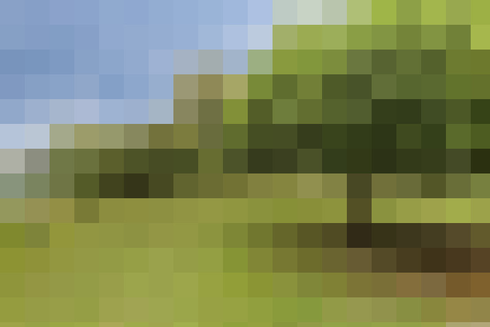  / #14