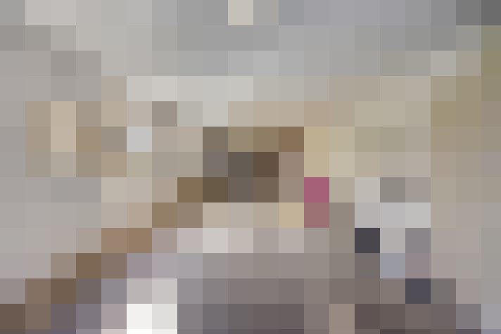  / #22