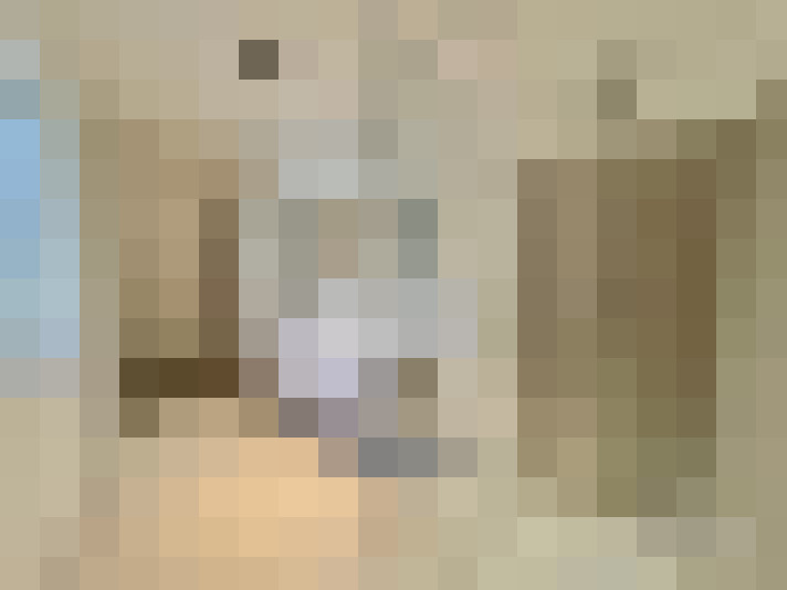  / #15