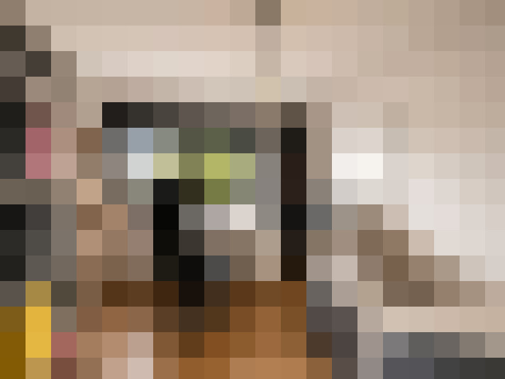 / #11