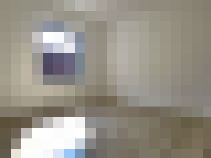  / #24