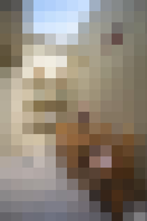  / #15