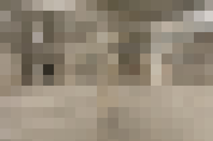  / #13