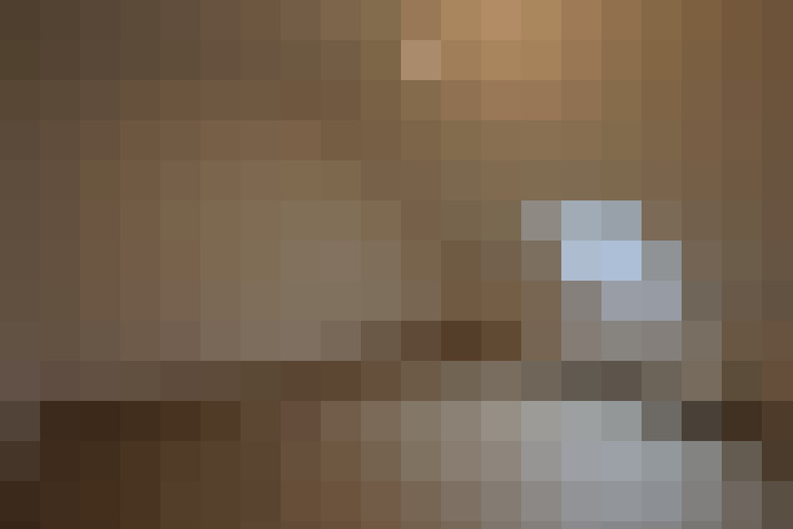  / #15