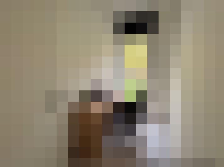  / #15
