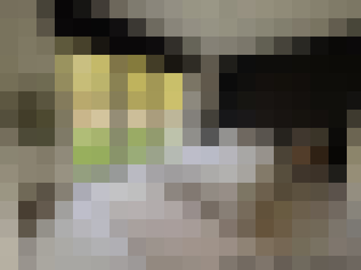  / #19