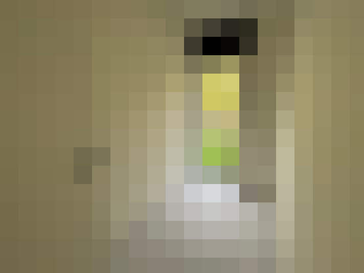  / #14