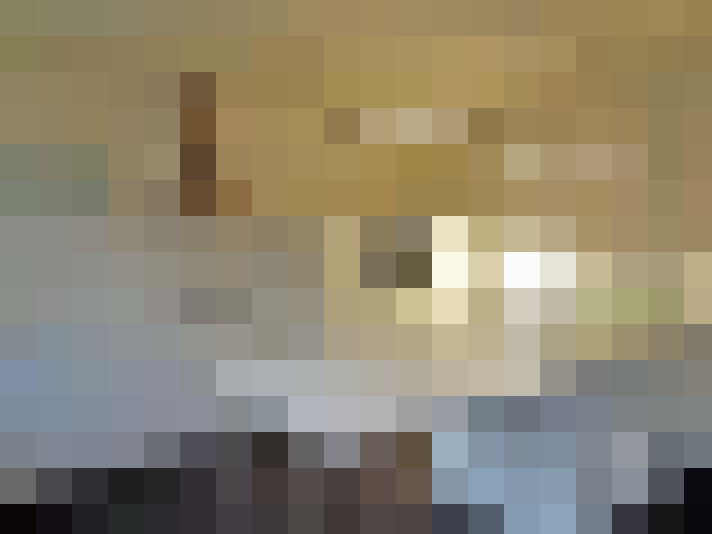  / #11