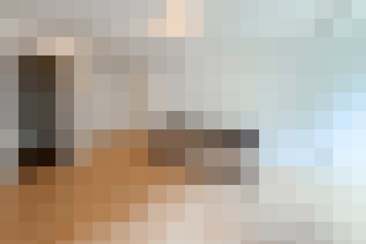  / #14