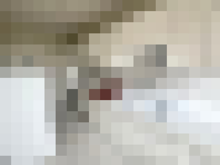  / #14
