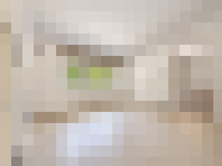  / #19