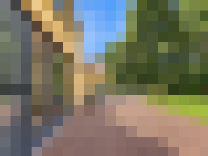  / #7