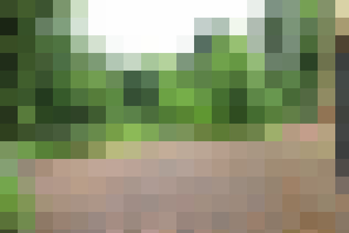  / #14