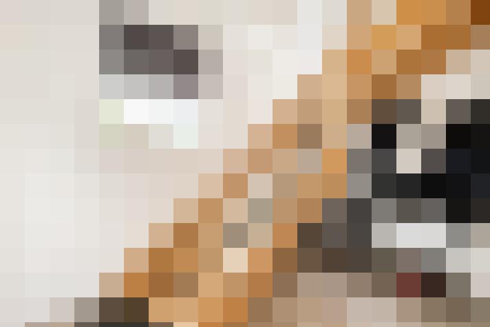  / #18