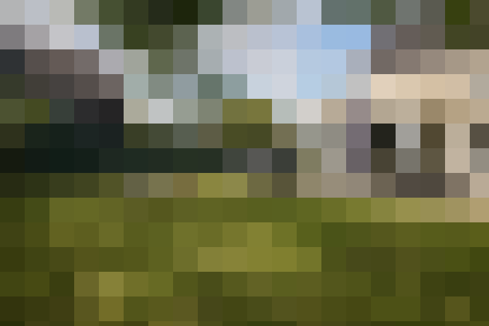  / #14
