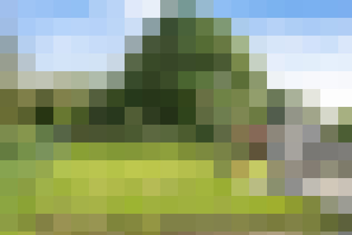  / #13