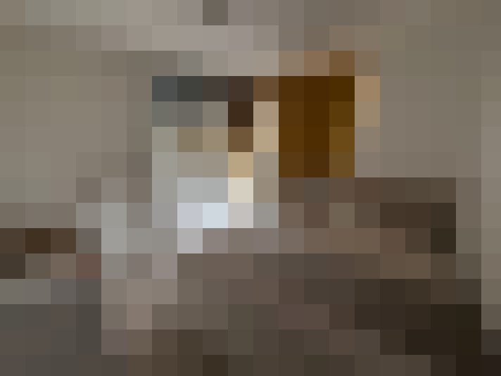  / #15