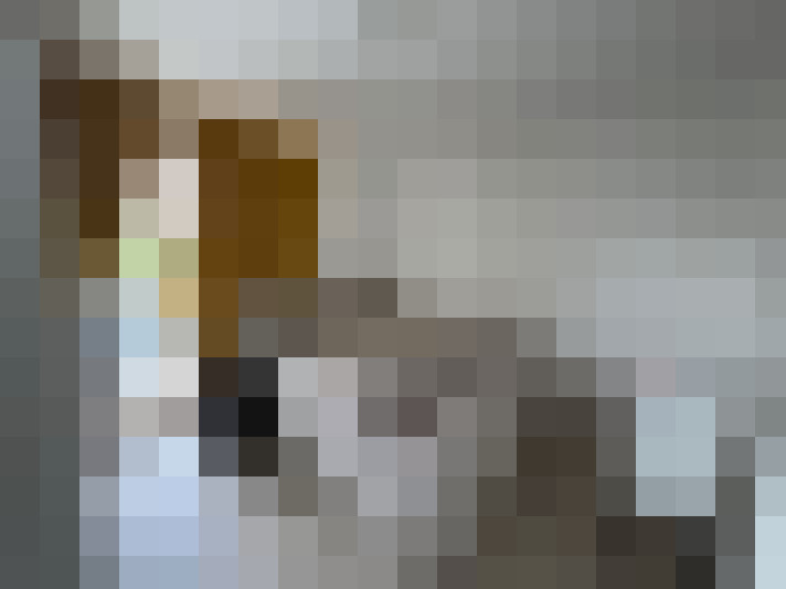  / #14