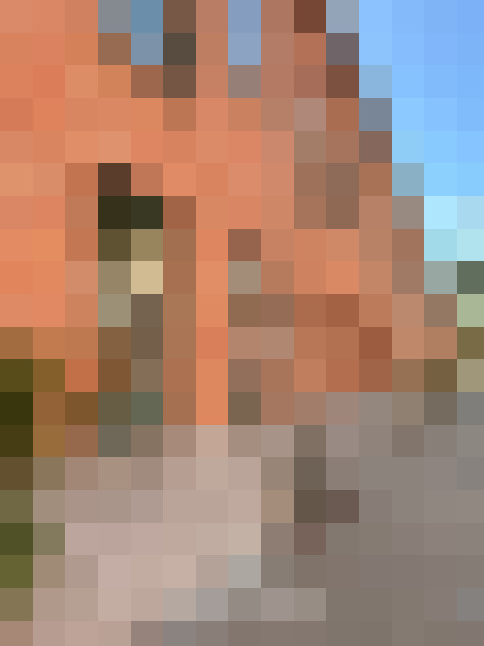  / #7