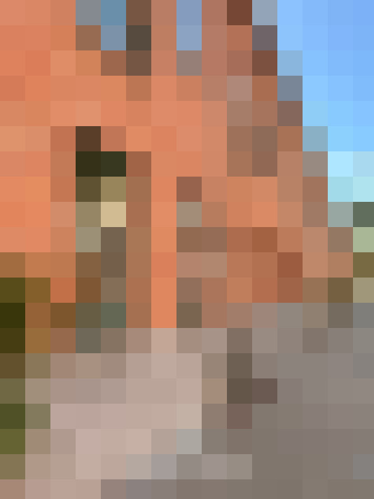  / #7