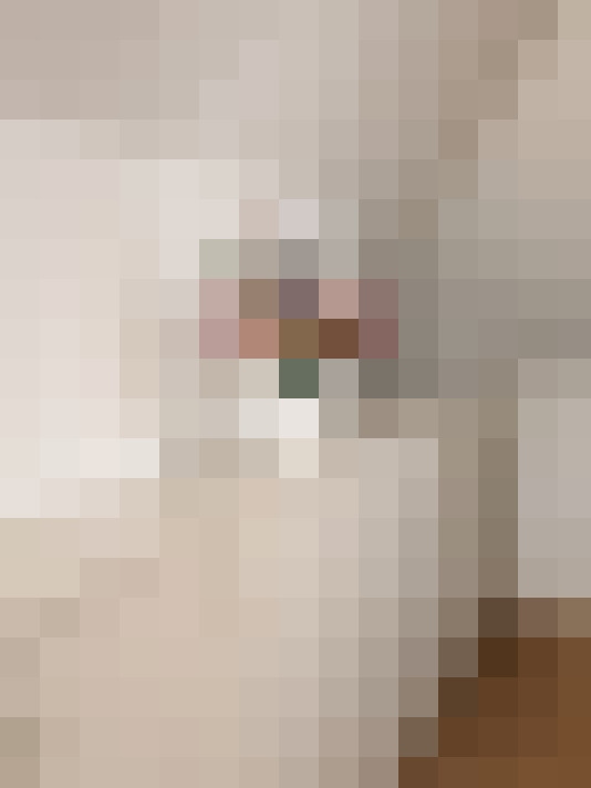  / #16