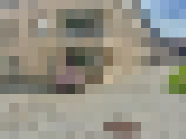  / #11
