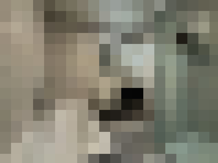  / #12