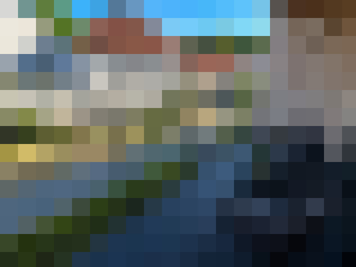  / #7