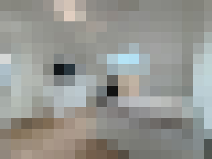  / #11