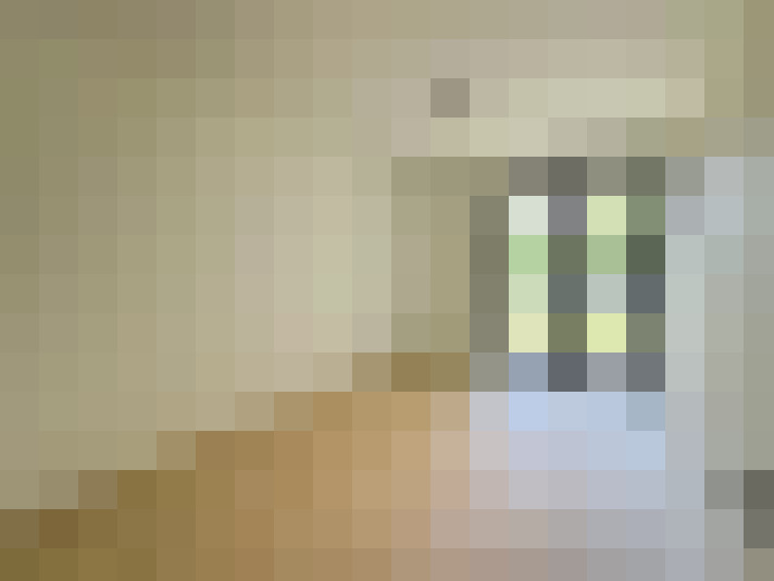  / #8