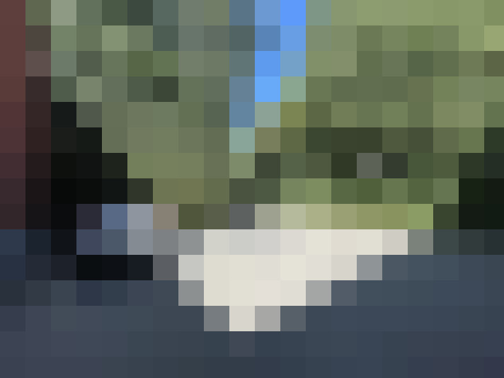  / #15