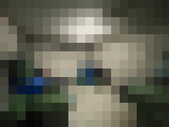  / #15