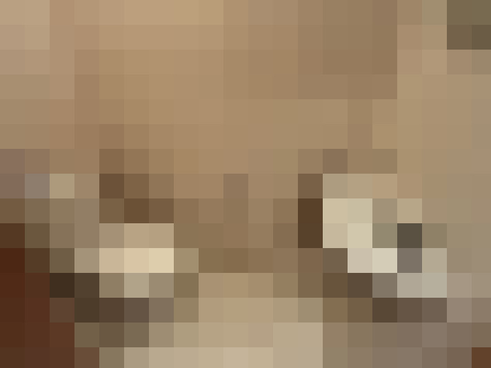  / #14