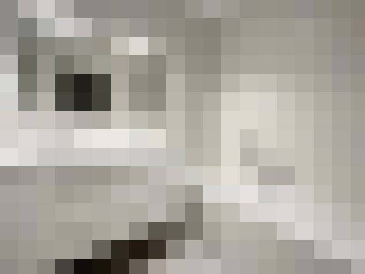  / #8