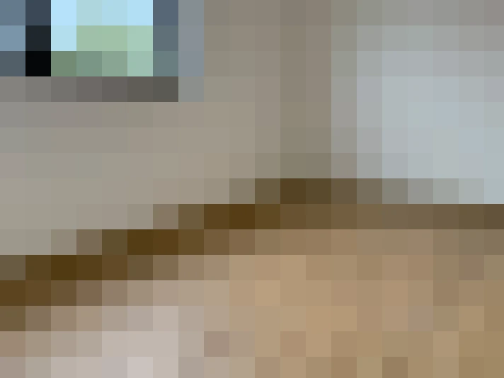  / #20