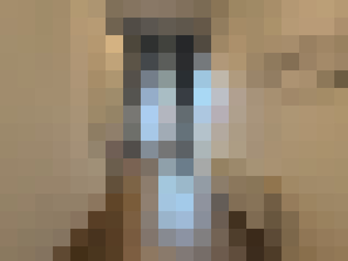  / #5
