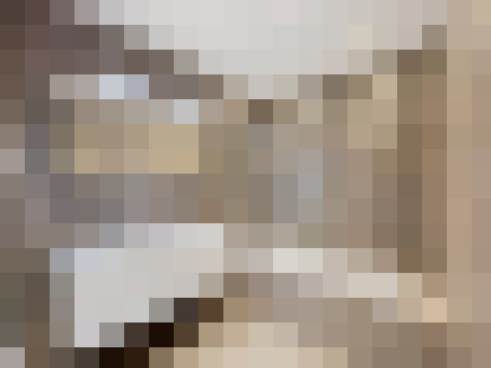  / #19