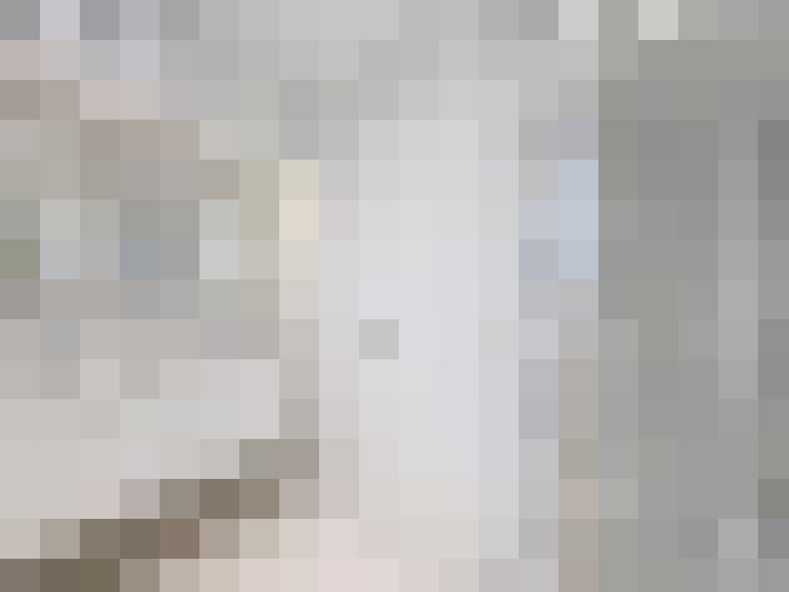  / #20