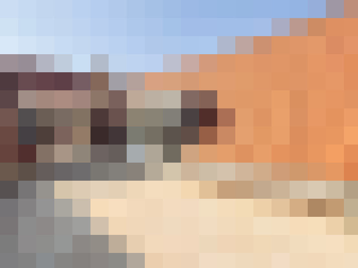  / #15