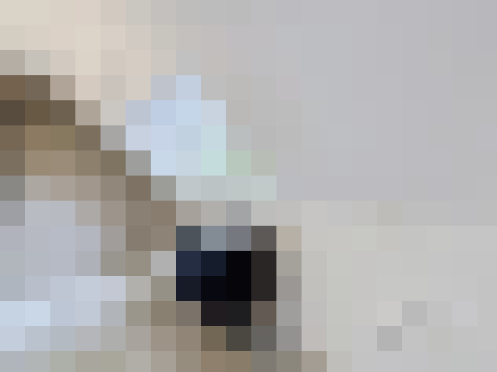  / #14