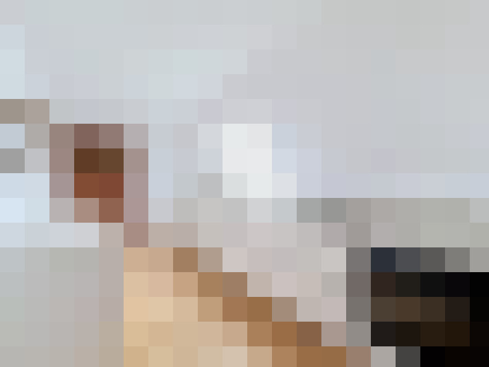  / #8